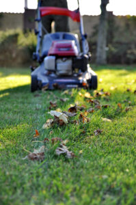 Lawnmower at autumn
