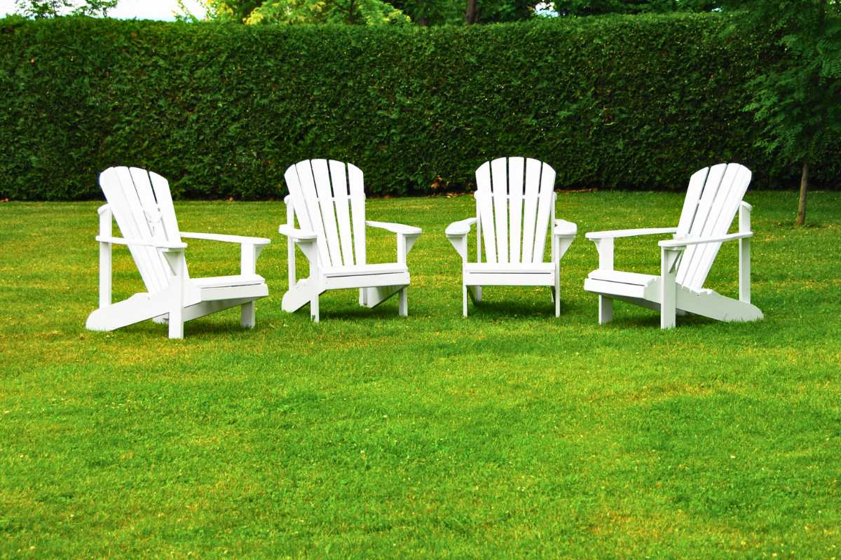 What is Sod Benefits of Choosing Sod over Seed