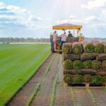 best-warm-season-grass-for-southern-lawns